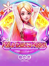 Wild Disco Night