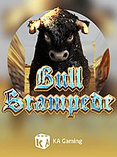 Bull Stampede