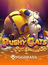 Pushy Cats